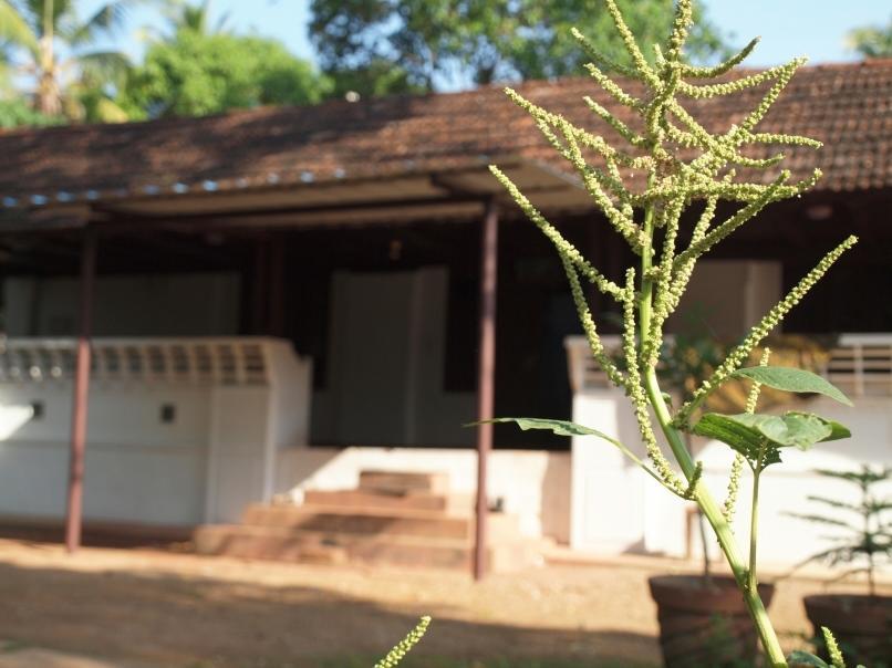 Chedi Spring Valley Hotel Athirappilly Exterior photo